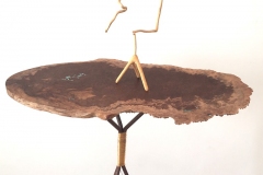 Topografia01-web