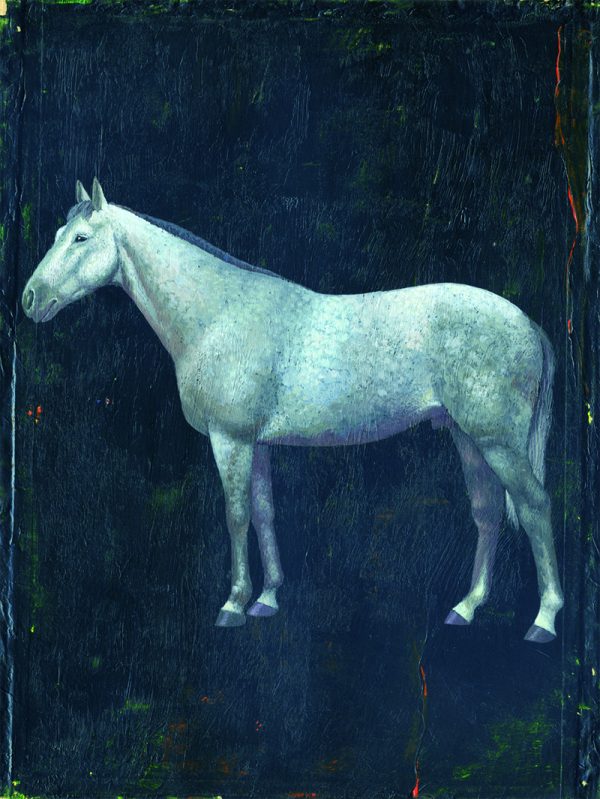 Paard